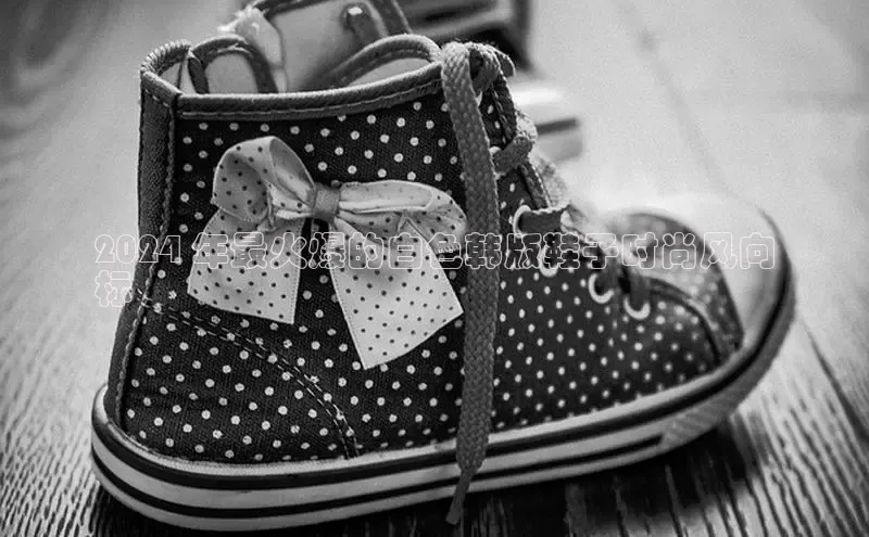 Bsports官网赛富乐斯2024 年最火爆的白色韩版鞋子时尚风向
标