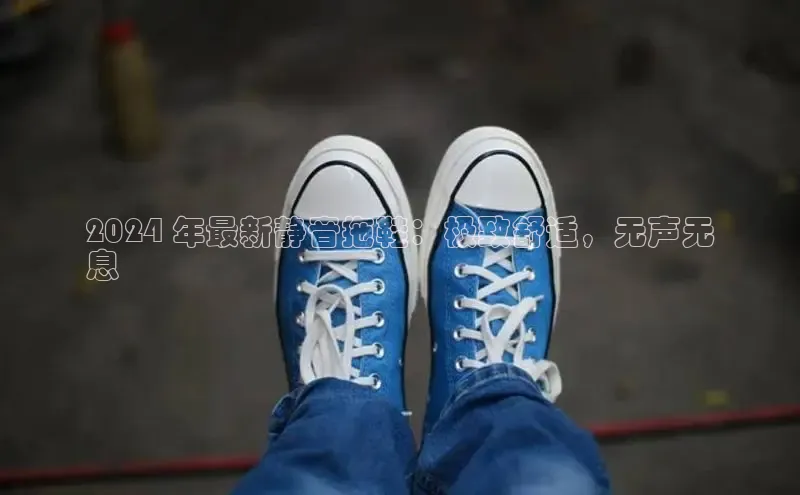 Bsports手机版百度翻译App2024 年最新静音拖鞋：极致舒适，无声无
息