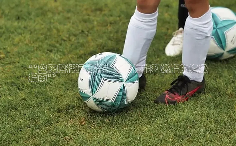 必一体育sport网页版登录云创智行**空腹爬楼运动鞋：增强体能和燃脂的终极
指南**