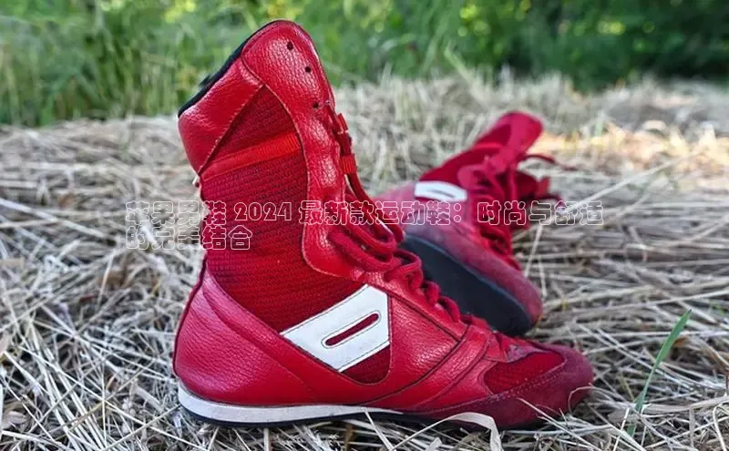bsport体育最新官网入口百度网盘企业版苹果男鞋 2024 最新款运动鞋：时尚与舒适
的完美结合