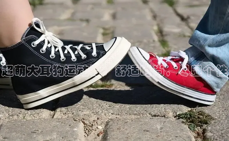 b体育旧版手机版每日互动超萌大耳狗运动鞋：舒适时尚，尽显个性