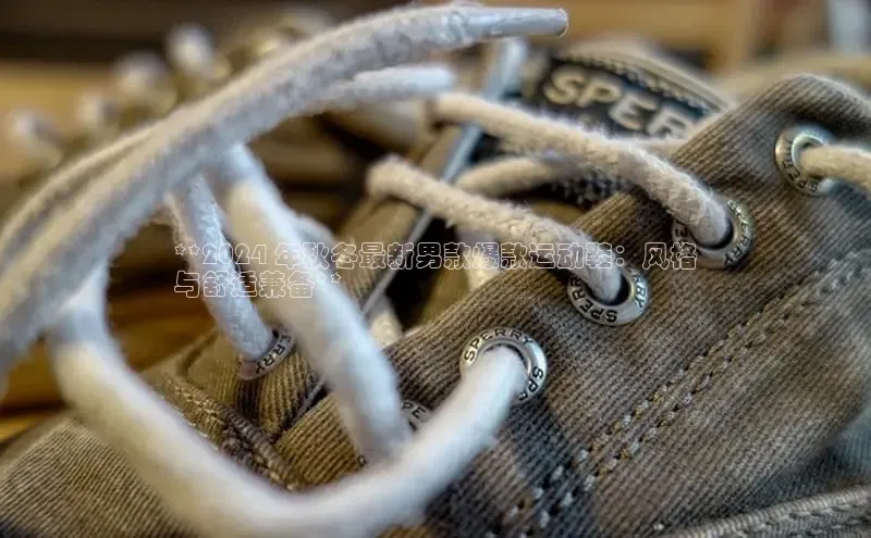 Bsports官网赛富乐斯**2024 年秋冬最新男款爆款运动鞋：风格
与舒适兼备**