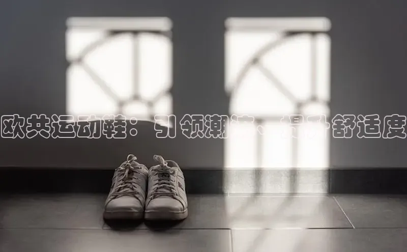 b体育在线登录网页版百度翻译欧共运动鞋：引领潮流、提升舒适度