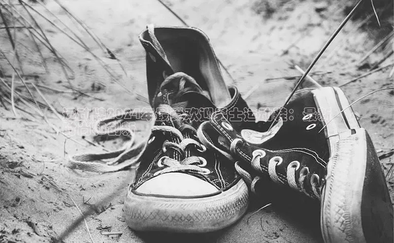 b体育下载入口app百度学术远动牌2024年最受欢迎男士运动鞋：最新
时尚和创新