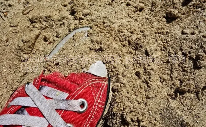 b体育下载入口app极氪智能科技2024年中学生女款运动鞋：款式新颖、舒适
耐穿