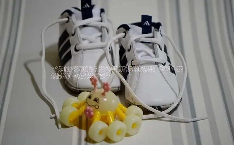 必一体育网页入口梯哥哥科技**为即将到来的秋季焕新你的风格：2024 年
爆款加厚女鞋指南**