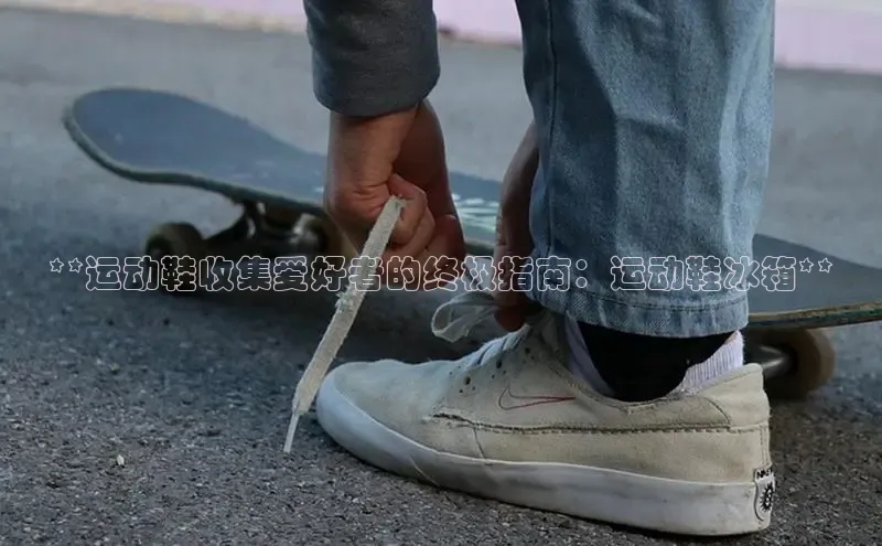 Bsport体育APP下载全站百度百聘**运动鞋收集爱好者的终极指南：运动鞋冰箱**