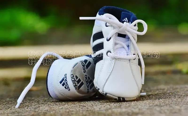 B体育官方网站入口官网百度智能云秋季小个子必备：2024 新款拉长腿型的
鞋子指南