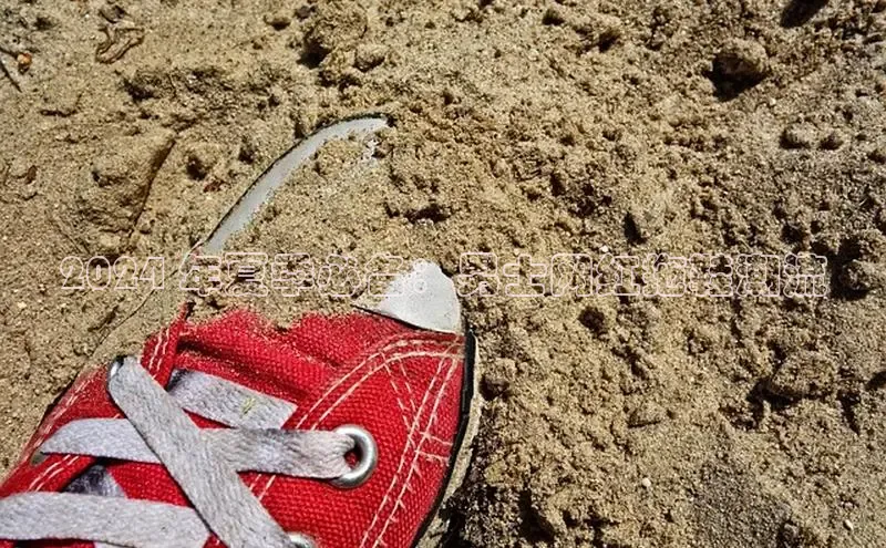 bsport体育官方网站BSPORTS携程2024 年夏季必备：男士网红拖鞋潮流