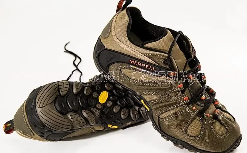 bsports网页版百度游戏2025新款迪桑特女鞋：未来运动的创新之路