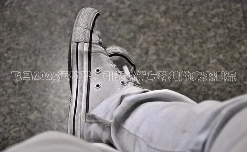 b体育在线登录网页版百度翻译飞马2025运动鞋：引领时尚与科技的未来潮流