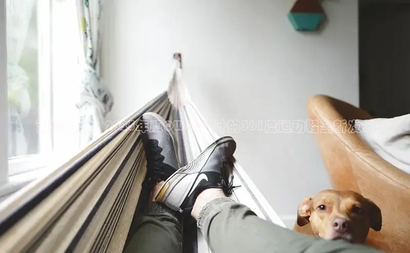 潮流之巅：2025年版QWEN设计的361度运动鞋全新发布