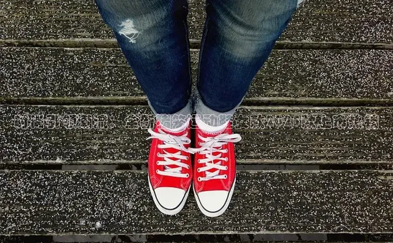 时尚引领潮流：全新猪笼运动鞋女款2025款上市热销