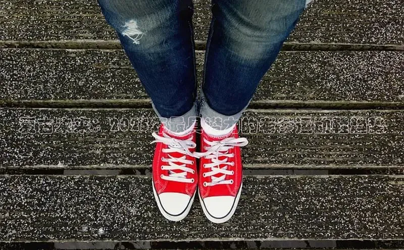 复古未来：2025年最具潜力的老爹运动鞋趋势