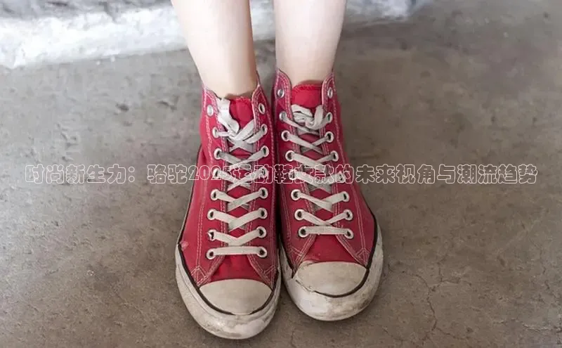 必一体育sport网页版登录