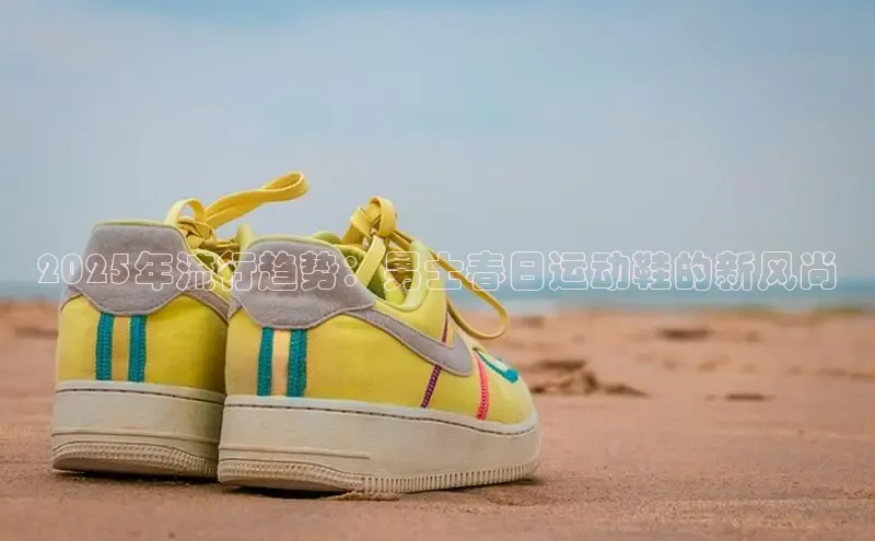 B体育手机网页版登录