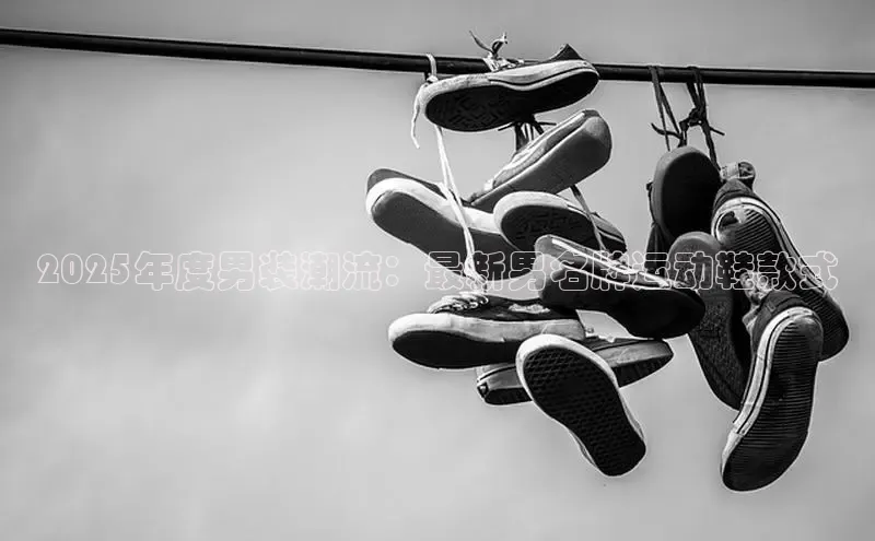 B·体育在线登录入口